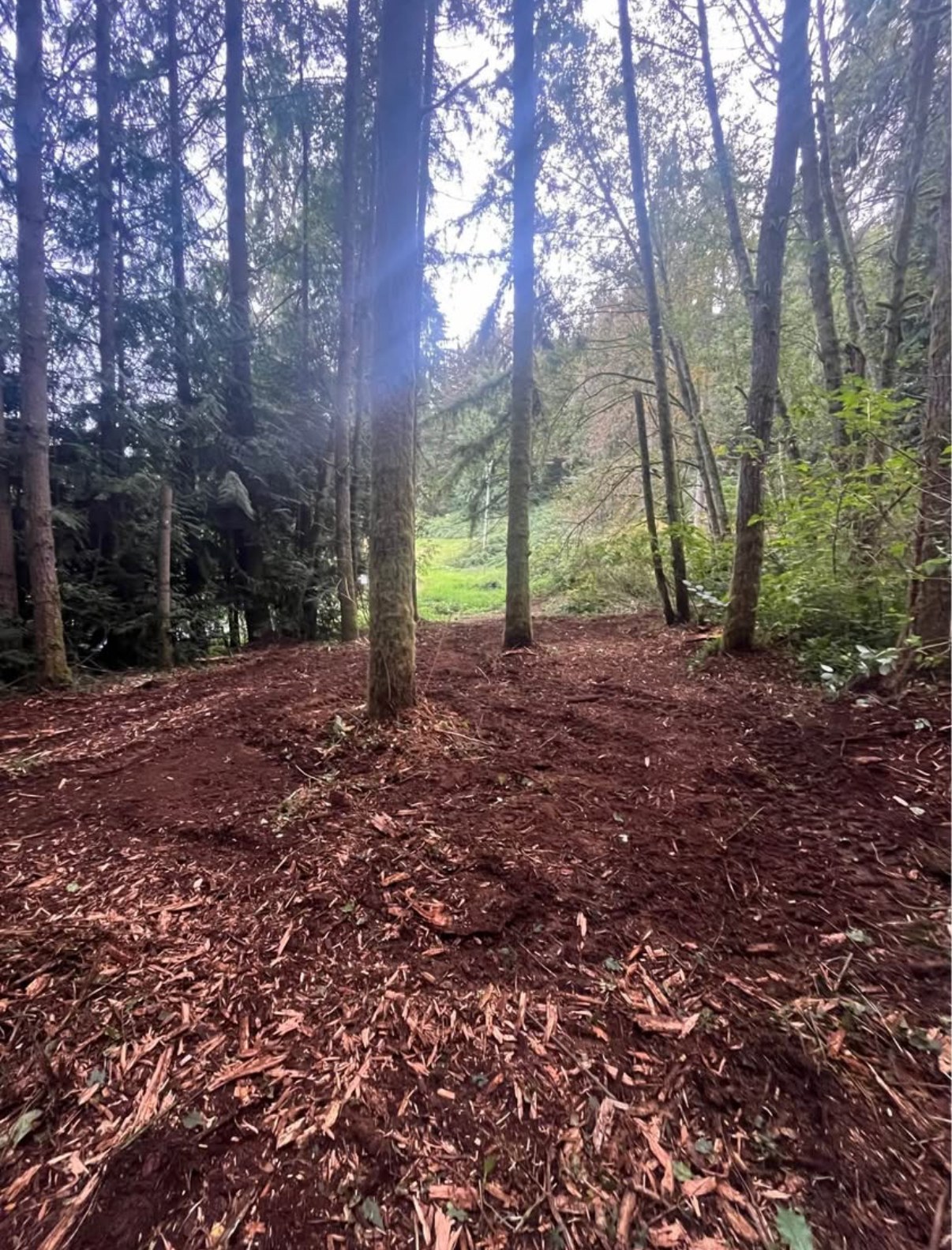 GP Excavation owner-attributed project photo